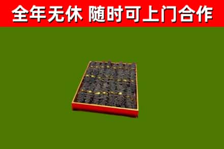 谯城烟酒回收海参.jpg